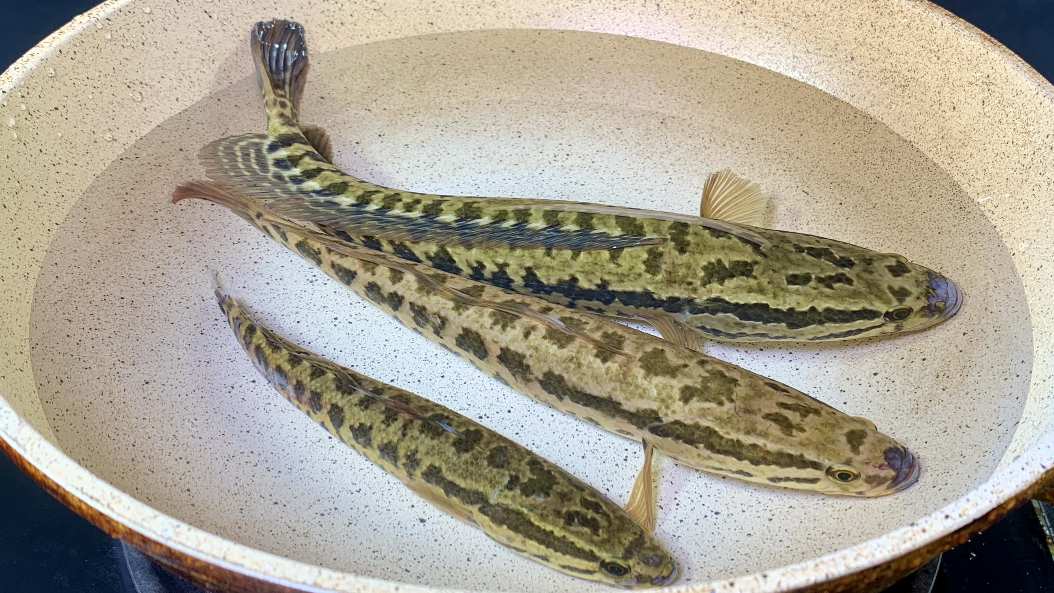 为什么饭店的鱼汤那么好喝?教你正确做法,汤白如牛奶,无腥味