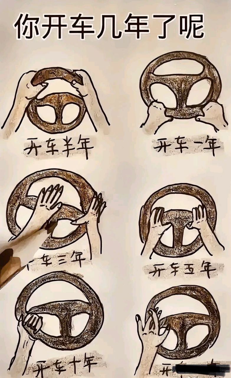 开车第三年就开始思考省力高效握方向盘了,既潇洒又好看,厉害,初学者