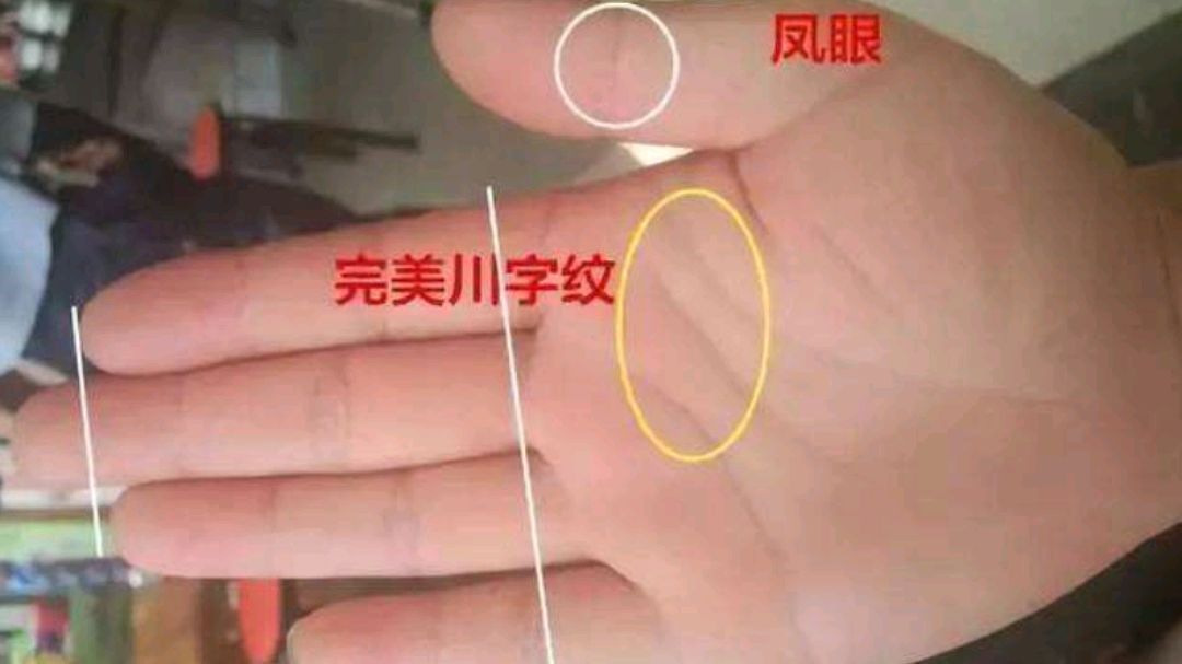 川字掌手相的人,无论男女事业容易成功,只是有一点要注意