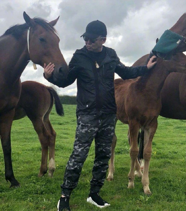 馬未都養貓,于謙養馬,看到孫越養的動物?網友:老北京了!