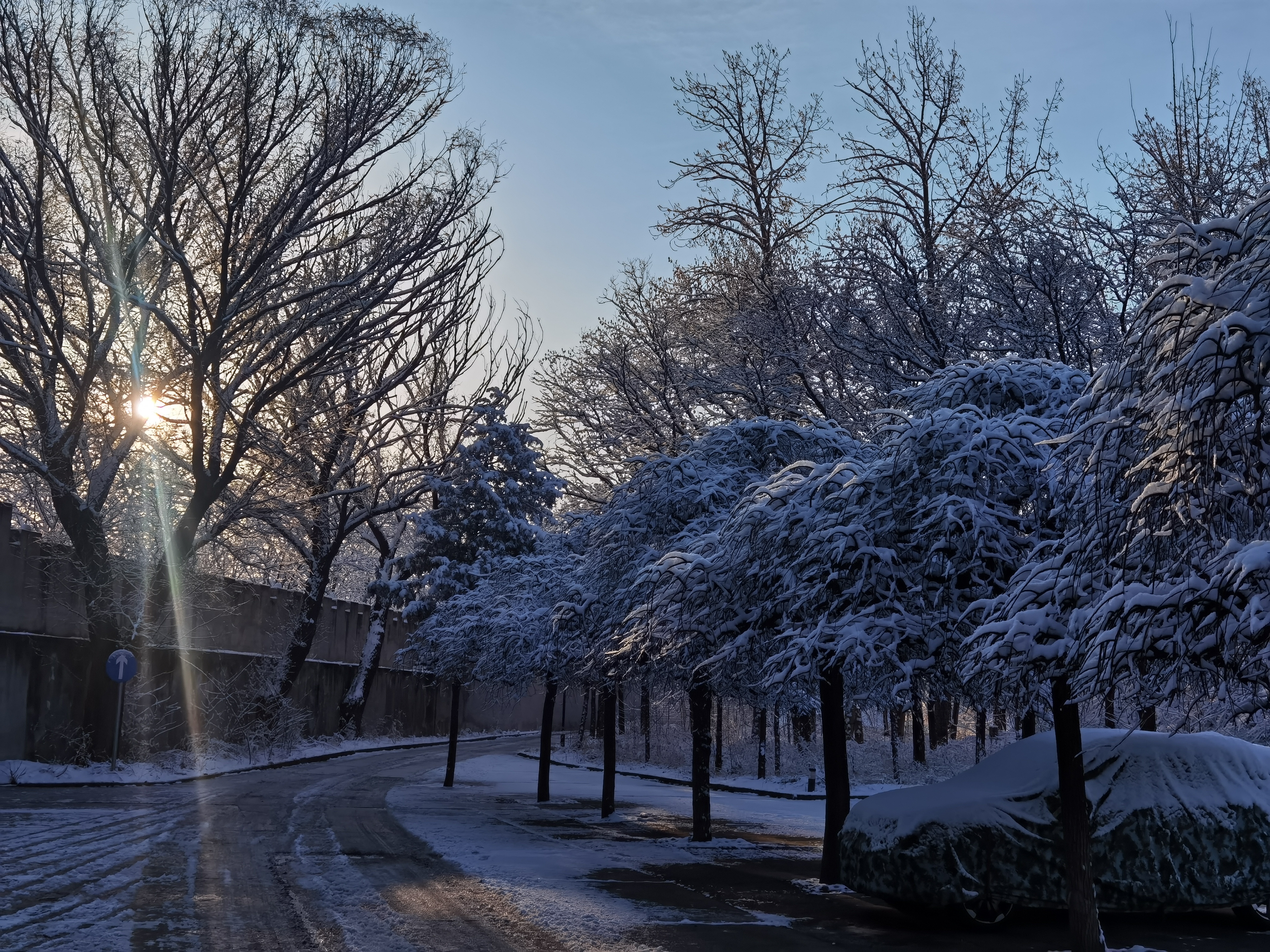 雪后的公园真美啊图片