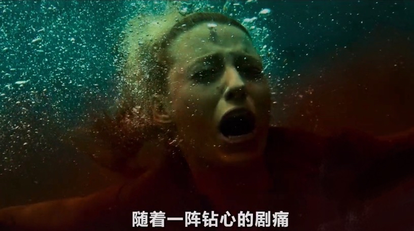 鲨鱼影视磁力=鲨鱼影视 mp4 下载