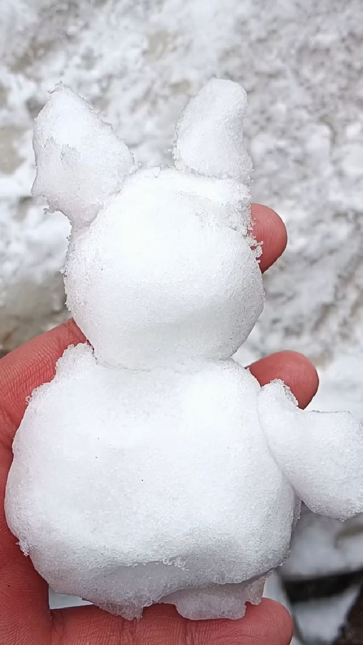 冬天雪人 真实图片