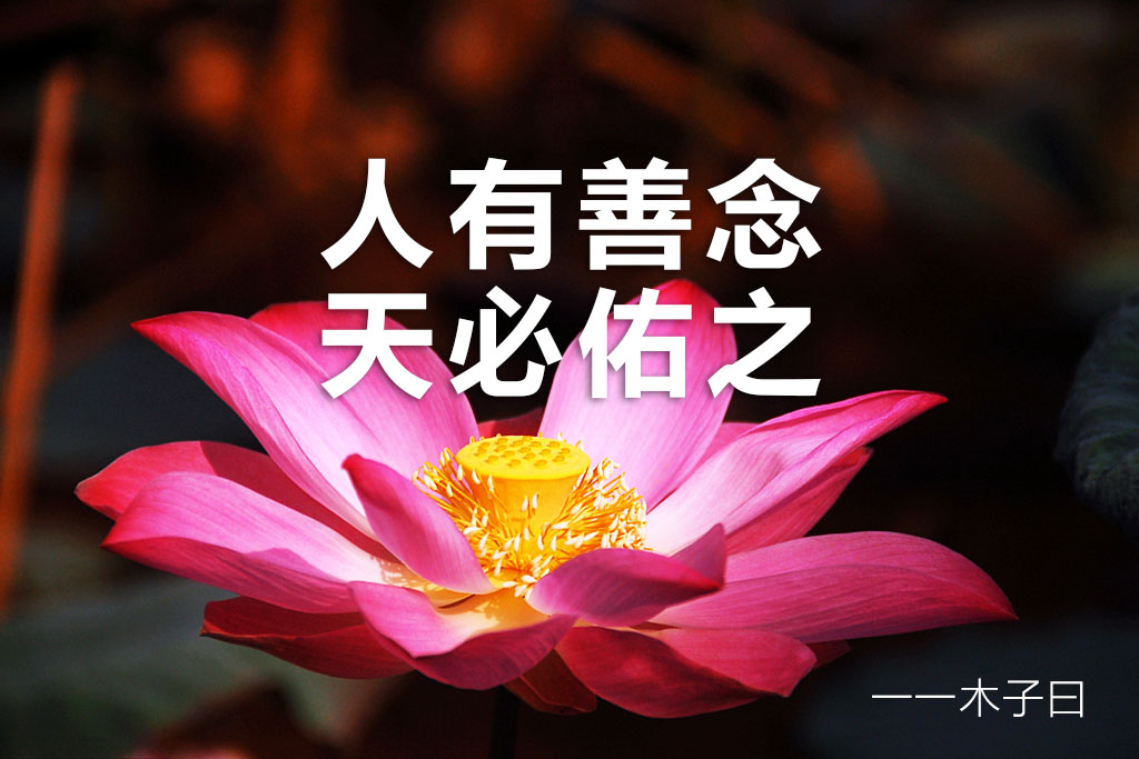 「美文推荐」生命是一种回声,爱出者爱返,福往者福来