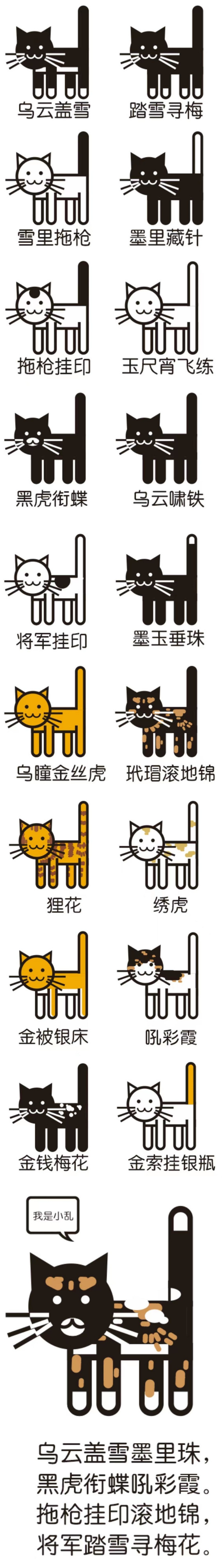 古代对猫咪的名称划分,听起来跟名驹有一拼了.