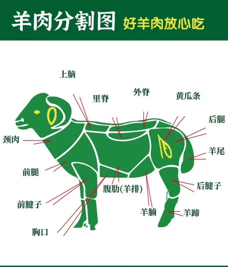 一分钟快速了解羊肉各个部位吃法