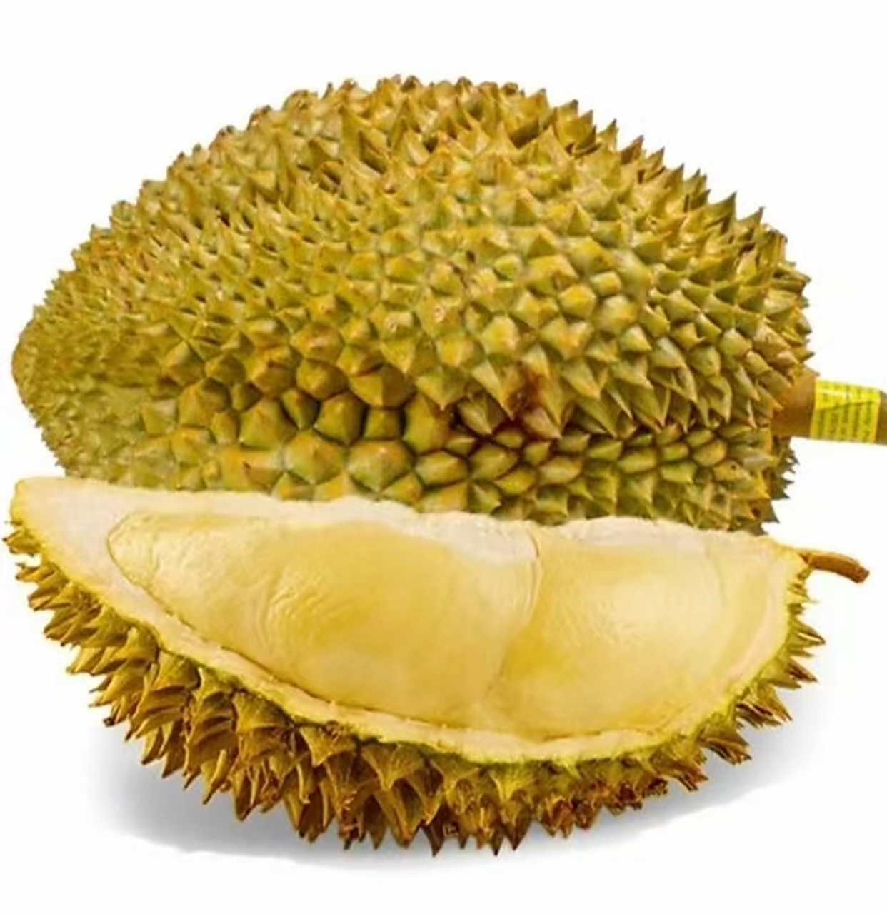 今天朋友圈里,晒钱的晒钱,晒花的晒花 我晒我的大榴莲,美容又养颜