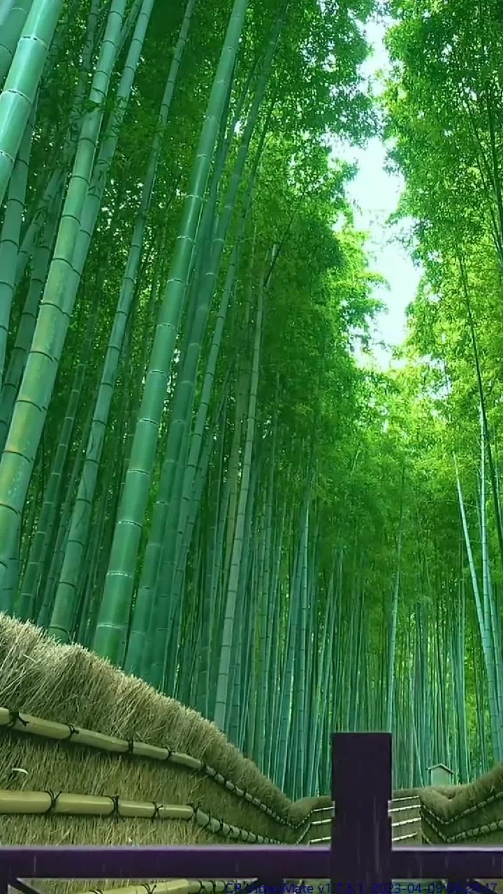 光辉风景:旅行时收藏下的风景是最好的财富