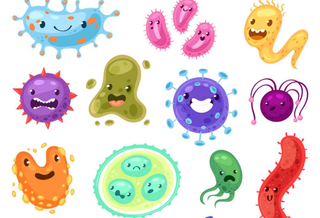 童话:定植菌与抗生素的对话