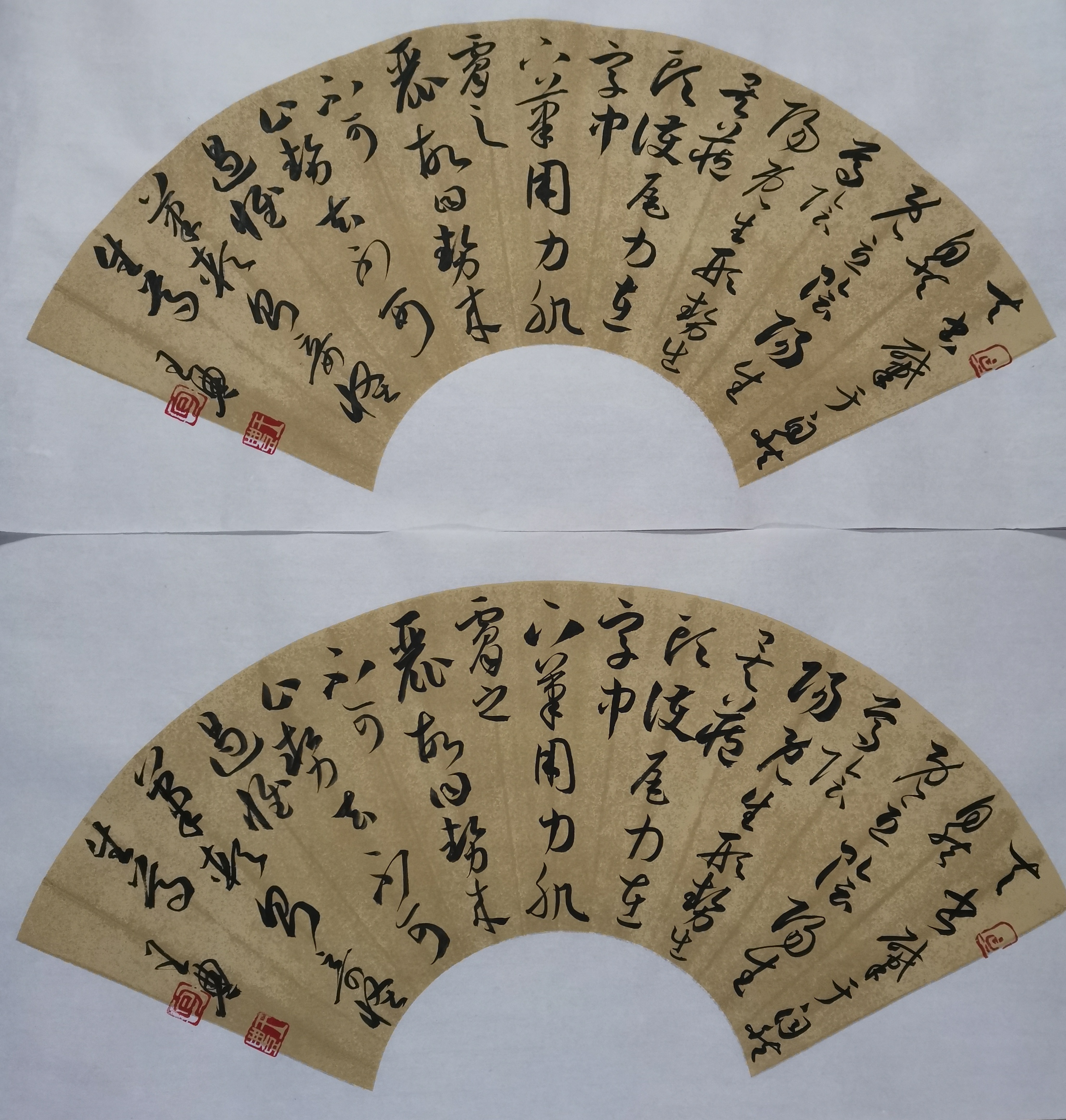 老石书法大讲堂一周作业展