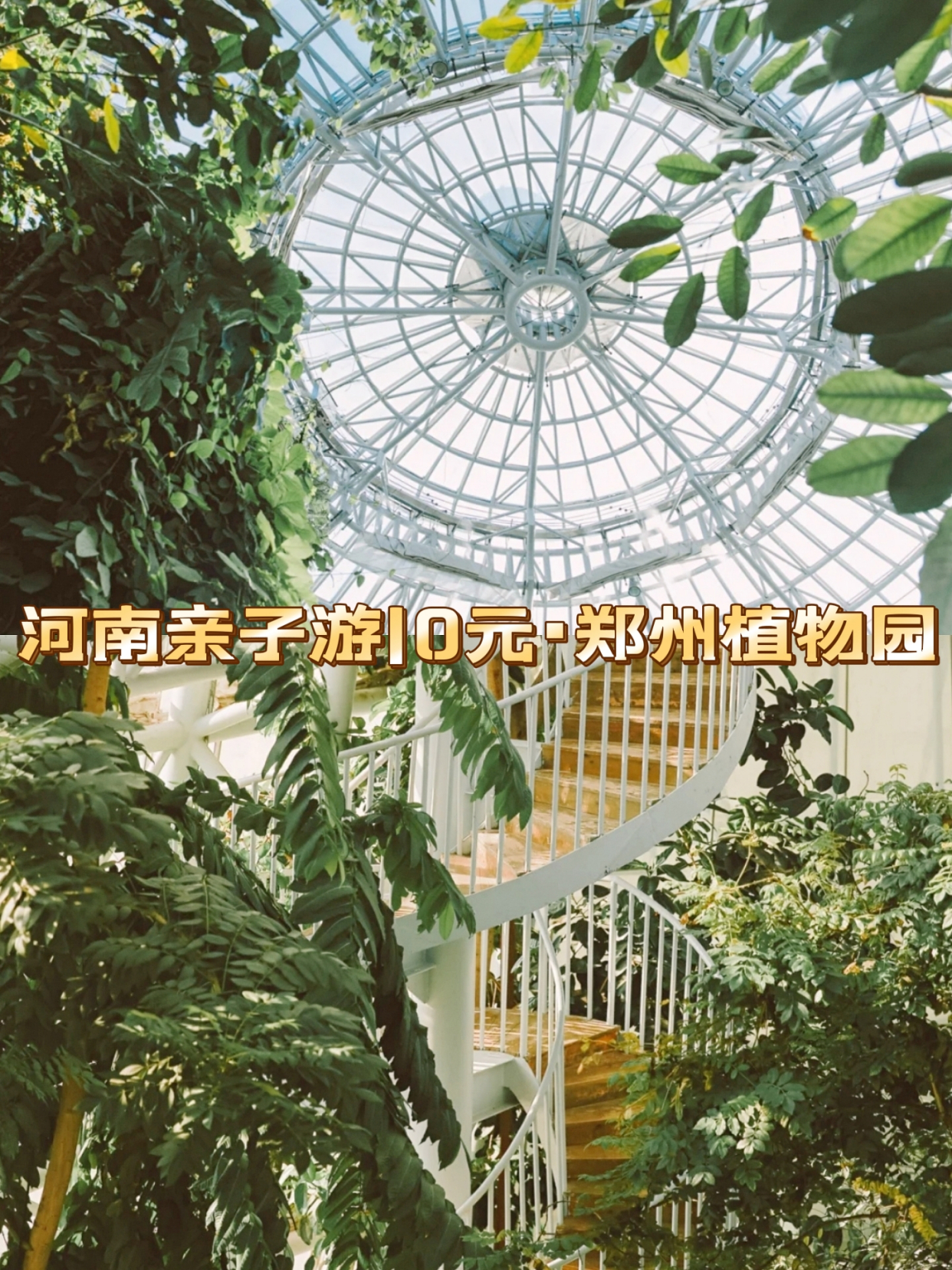 河南亲子游|郑州植物园0门票休闲好去处