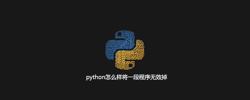 如何在python中使程序无效