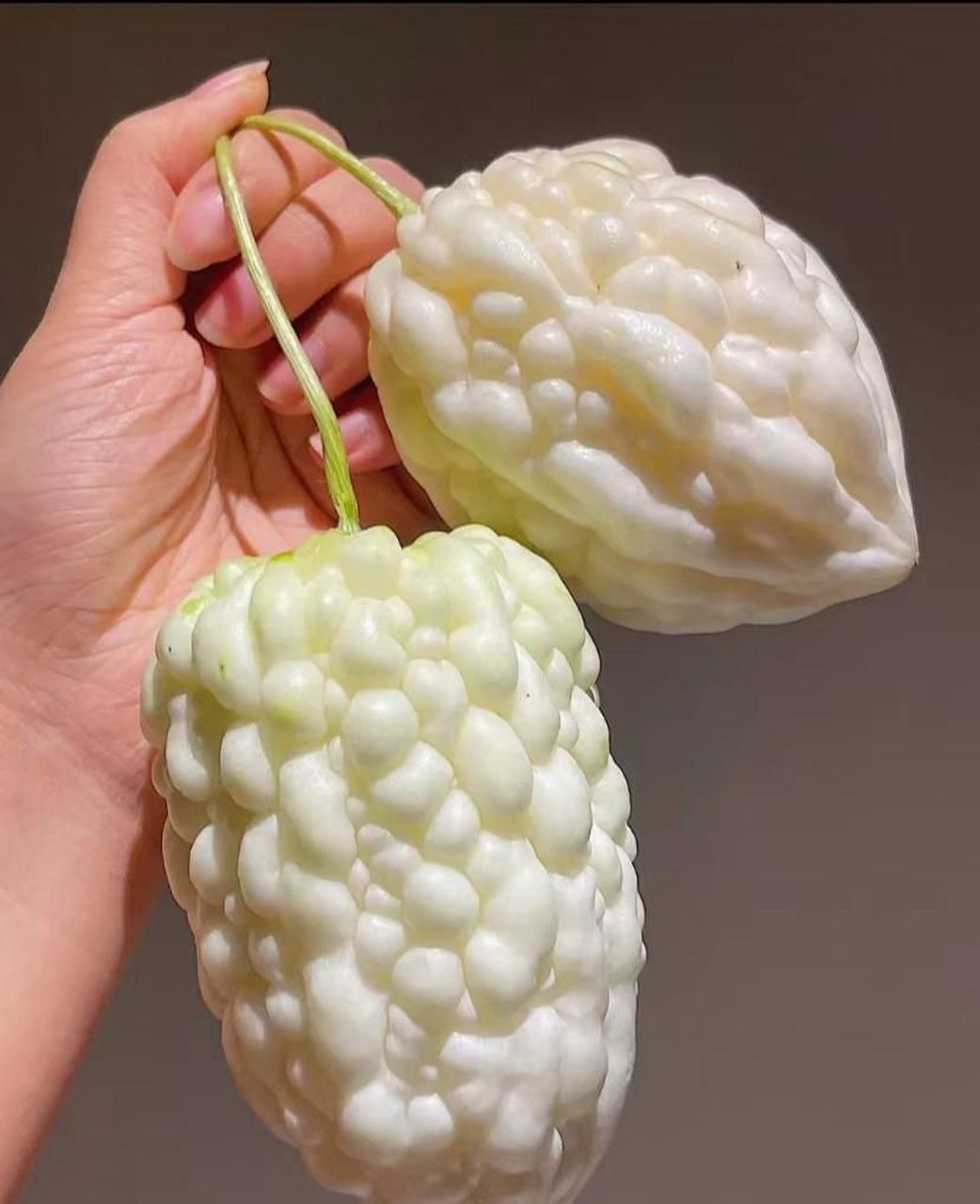 苹果苦瓜 都舍不得吃了 怎么办