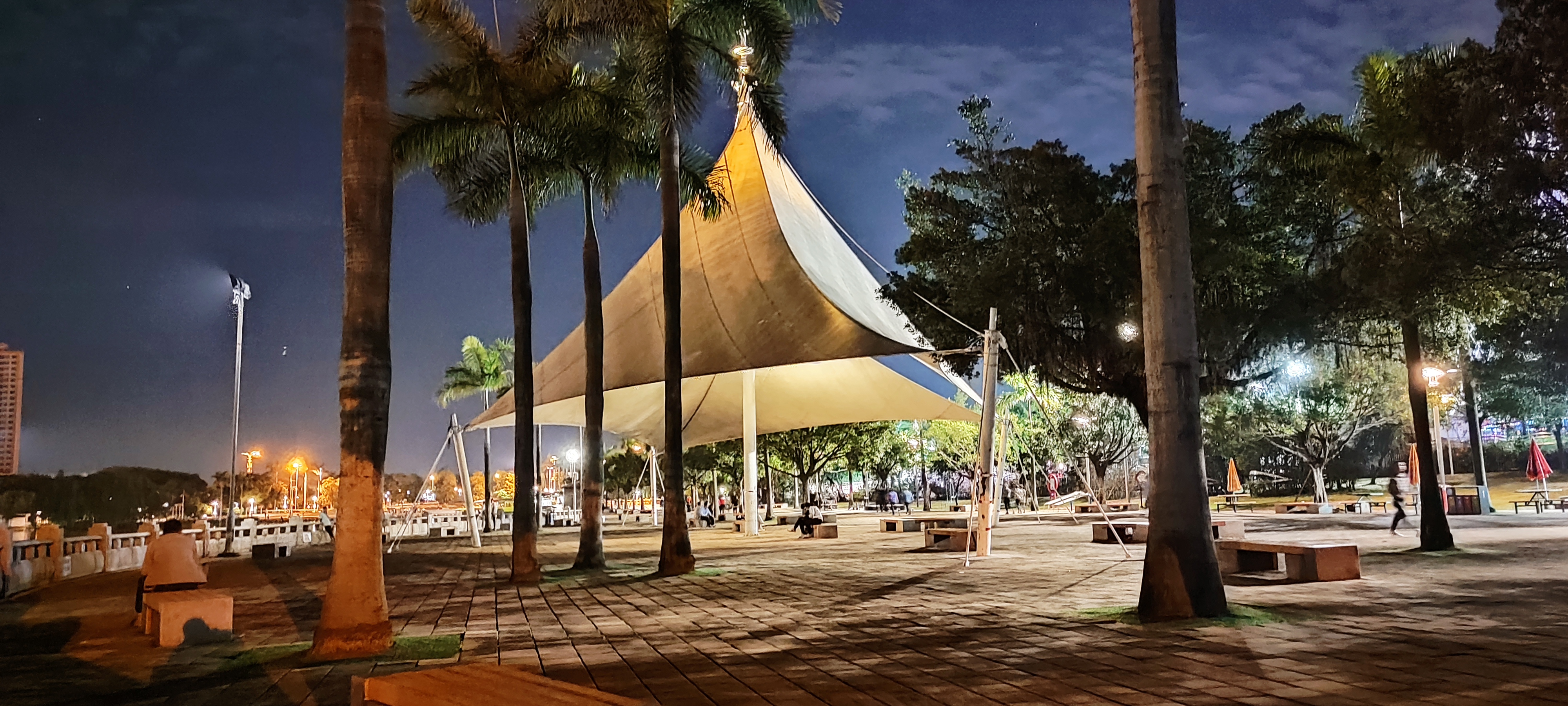 鹤山公园的夜景