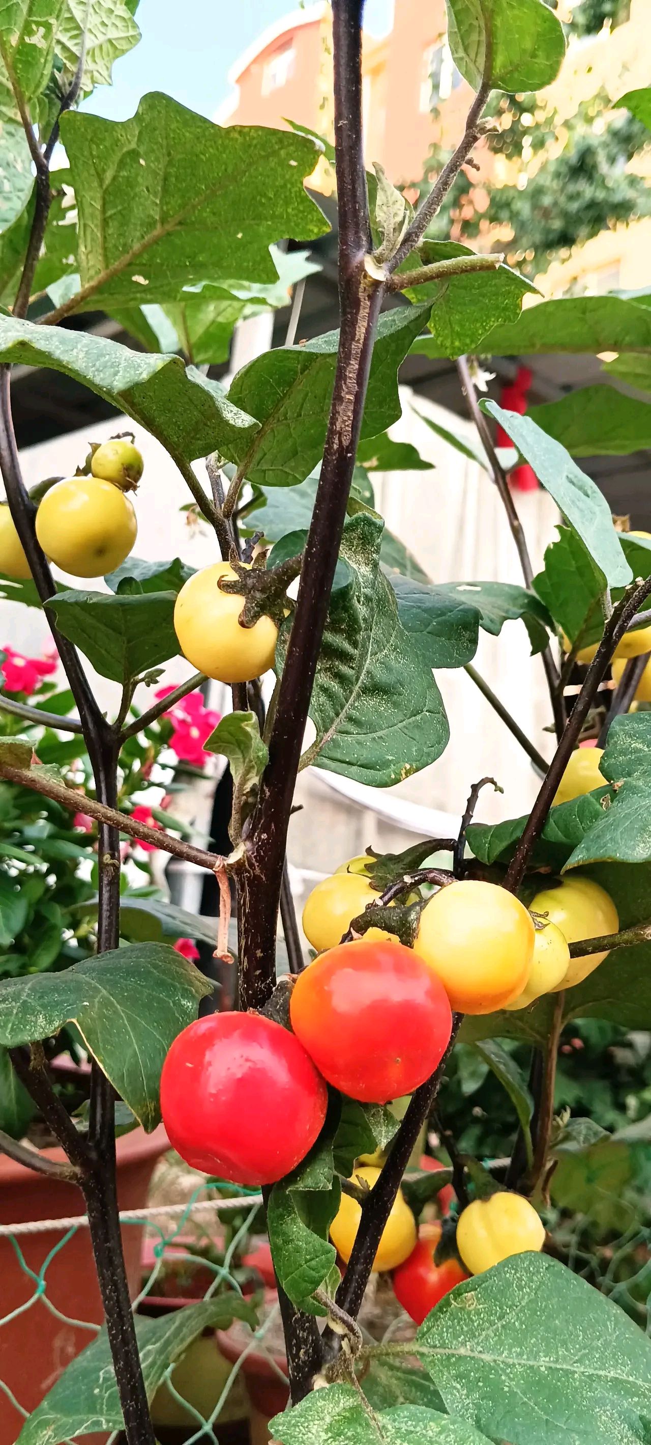 "活到老,学到老",真是至理名言!