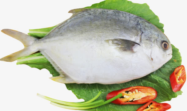 镜鱼和平鱼的区别