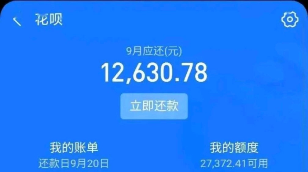 在使用花呗时,要根据自己的经济状况合理安排消费,确保能够按时还款