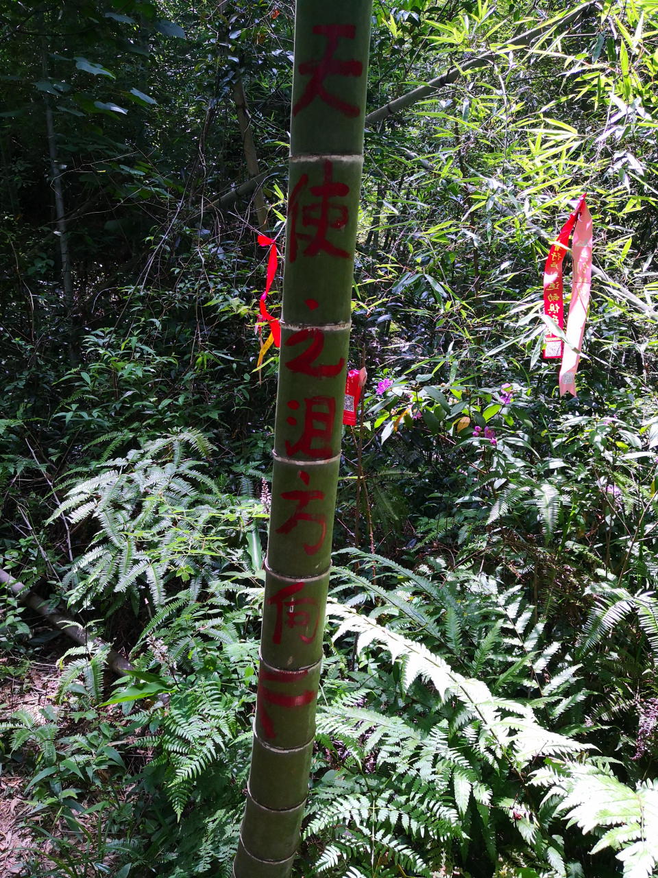 "天使之泪"位于福州市寿山乡中楼村,为山涧中一天然坑洞,因溪水幽蓝