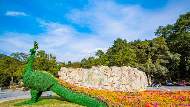 南京浦口老山森林公园,环境优美空气好,是俯揽城市美景的好去处