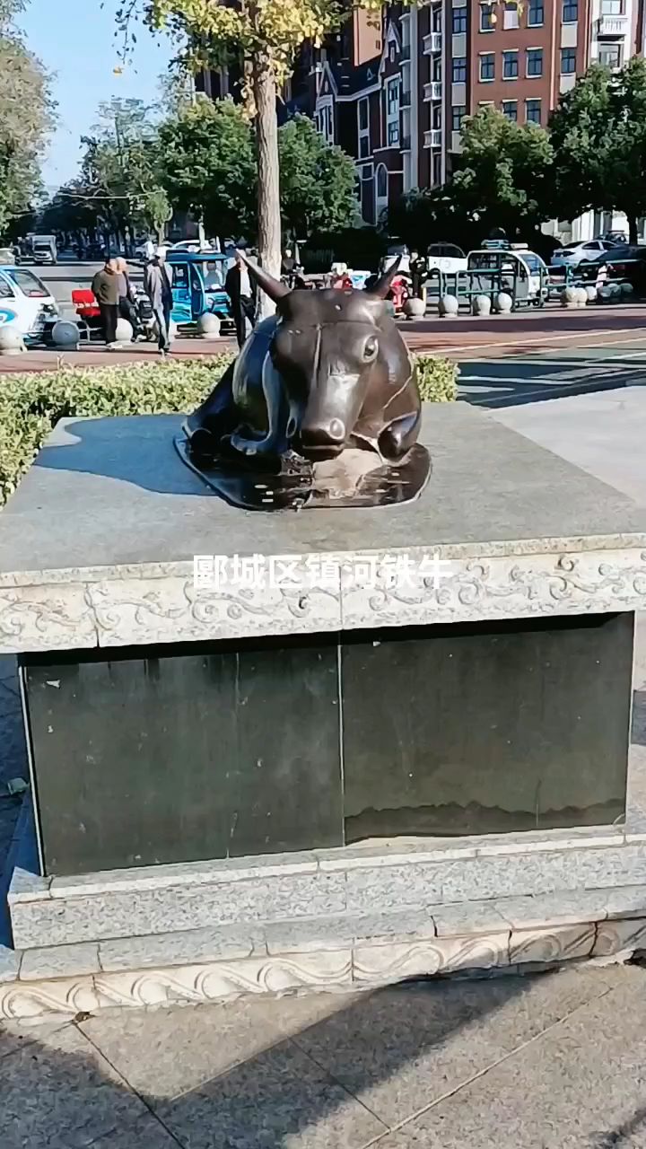 漯河市郾城区铁水牛