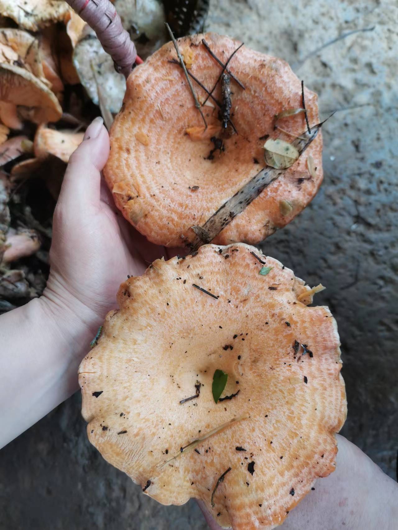 小时候的零食,长大后的山珍海味