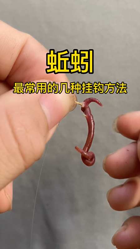 蚯蚓最常用的几种挂钩方法你更喜欢哪一种