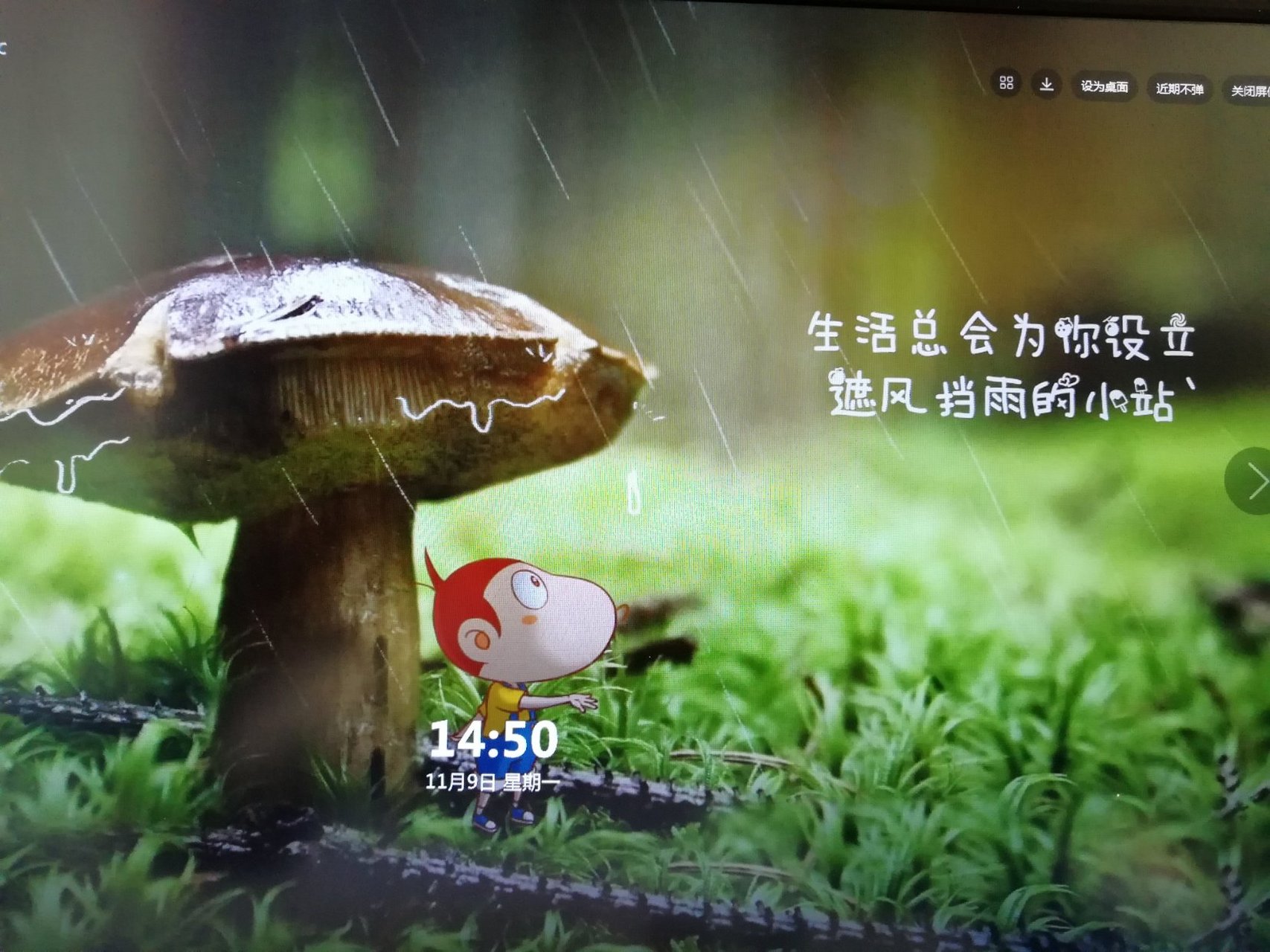 生活,兑换会为你设立,遮风挡雨的小站.