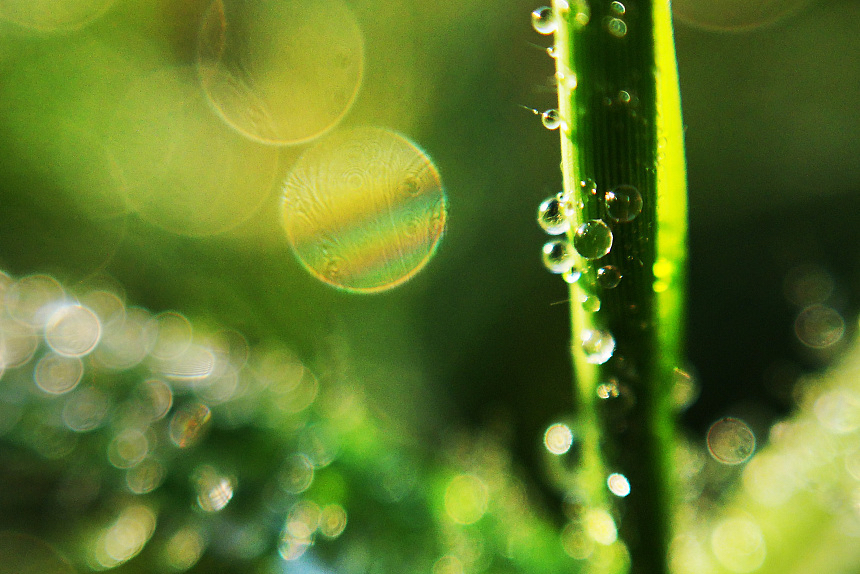 宝藏作者(尾鱼)作品合集