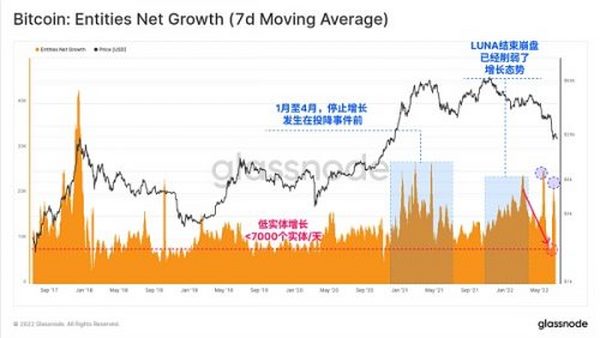 Glassnode 研究：比特币链上活动处于熊市 但强烈囤币趋势显现