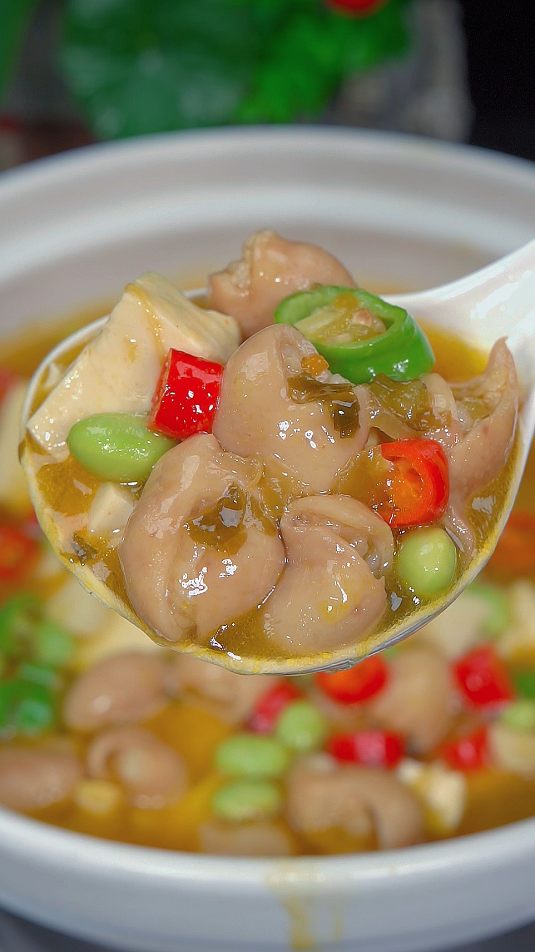 酸汤肥肠的家常做法