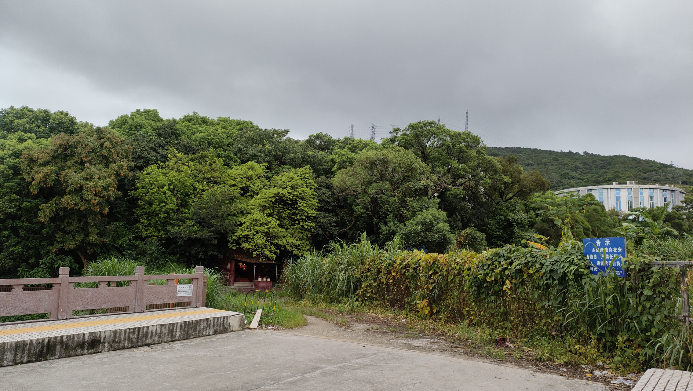 分享深圳龙岗区西坑村