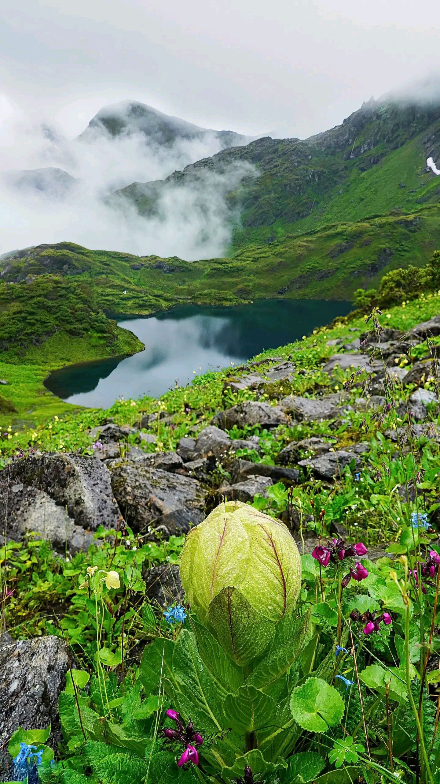 云南迪庆州维西县巴迪乡美景