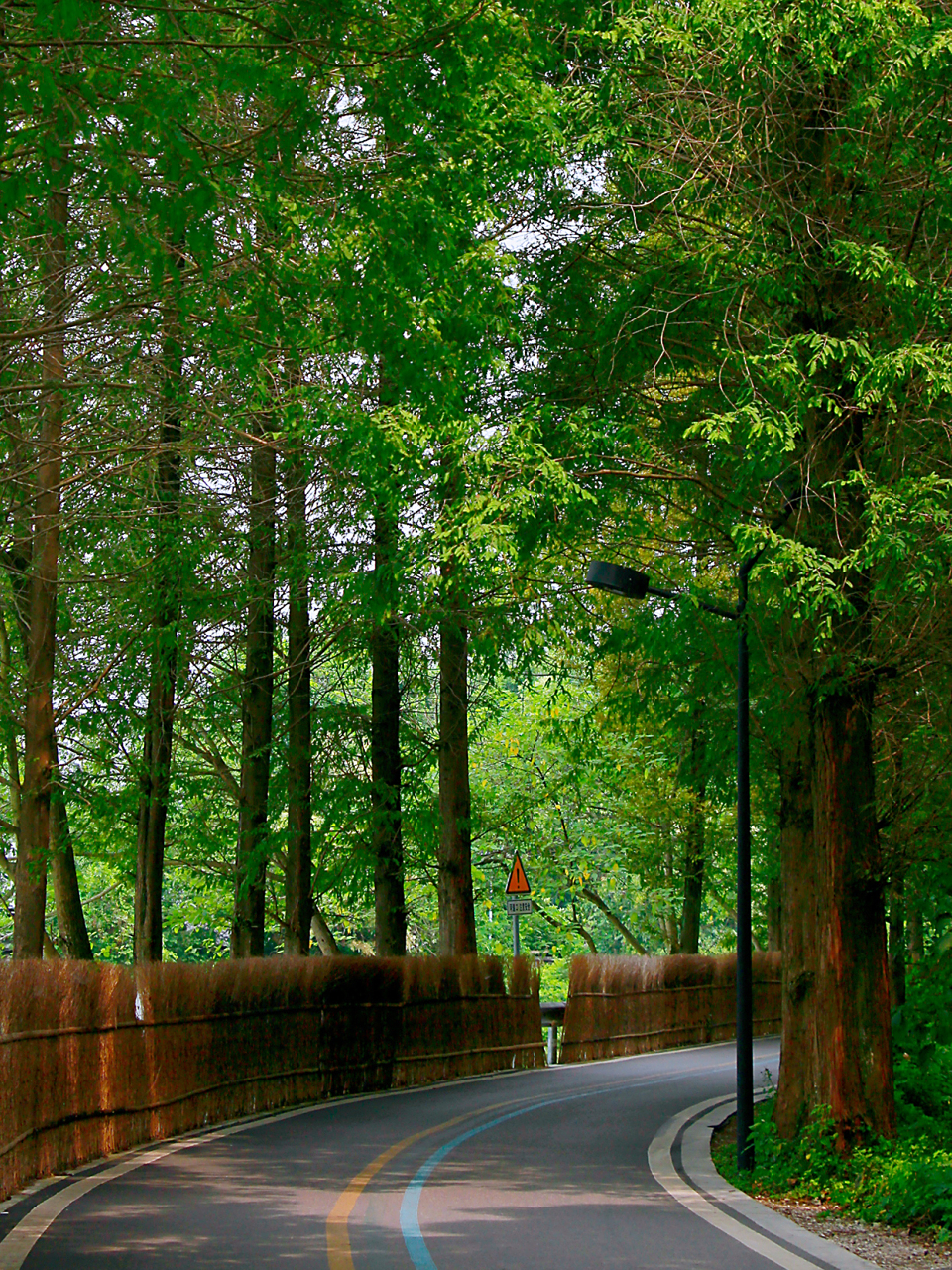 太治愈了!最近被郫县的朋友安利了一条冷门骑行线!