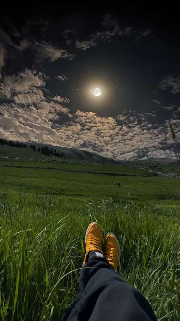 草地,风声,风景独好