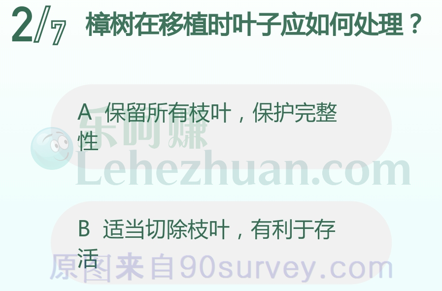 樟树在移植时应适当切除枝叶