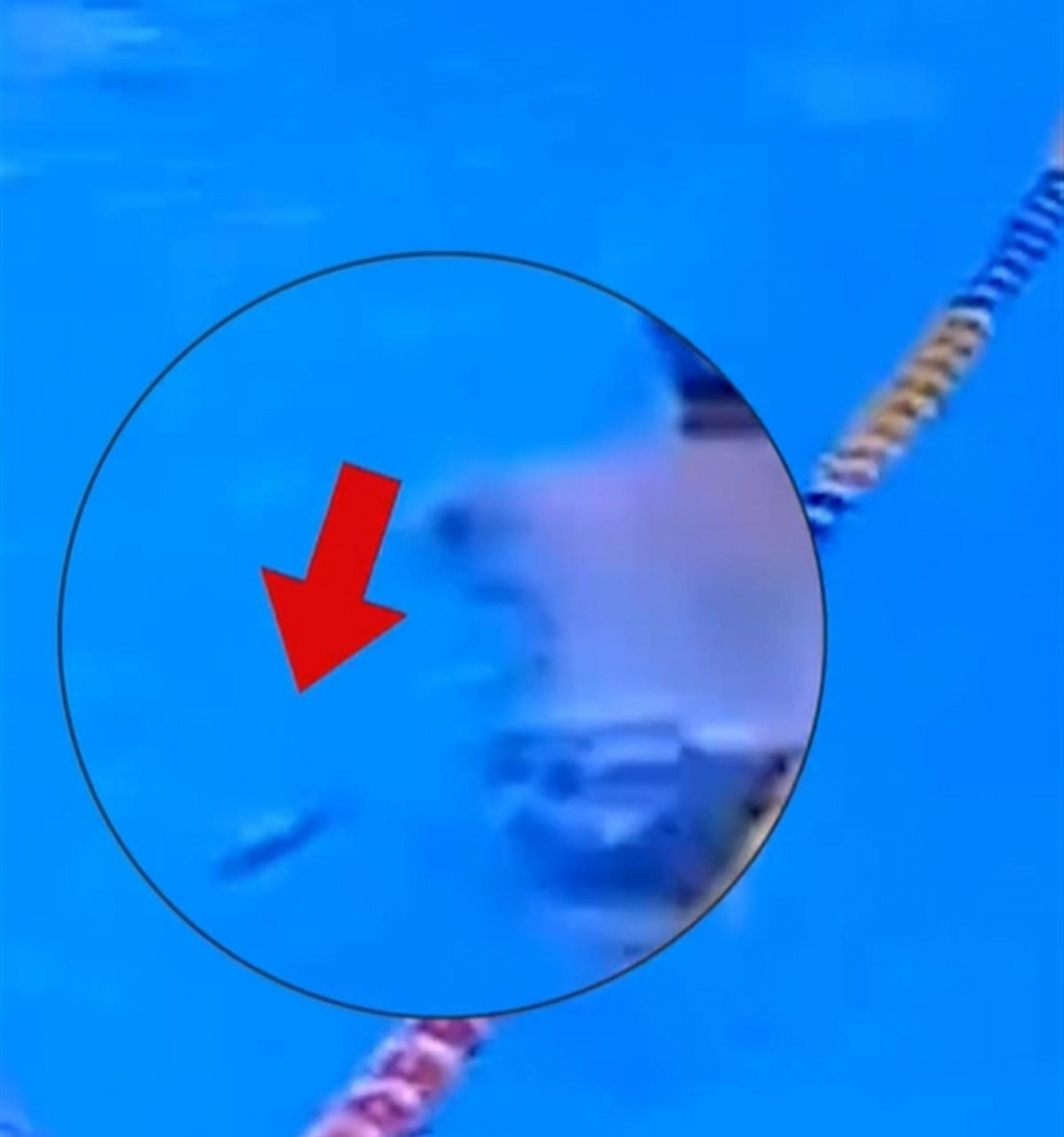 对此大家怎么看?