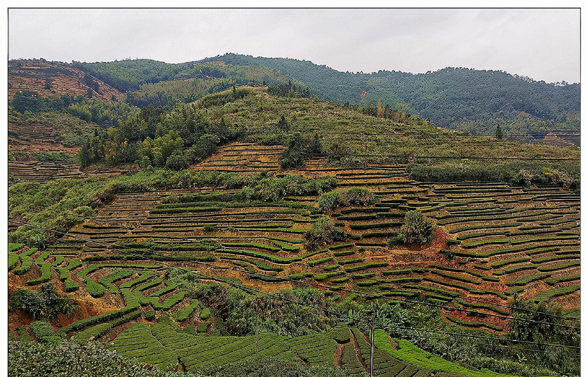 福建安溪"云岭茶庄园",美景美食两日游
