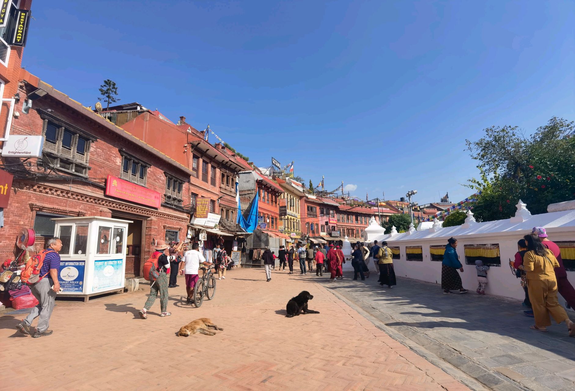 尼泊尔的流浪狗  一位正在尼泊尔旅行的网友说:"偶看新闻,各个自媒体