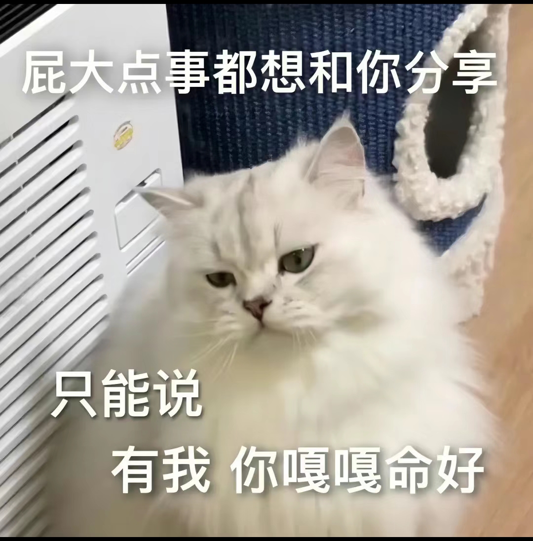 情侣可爱,小作精表情包收集