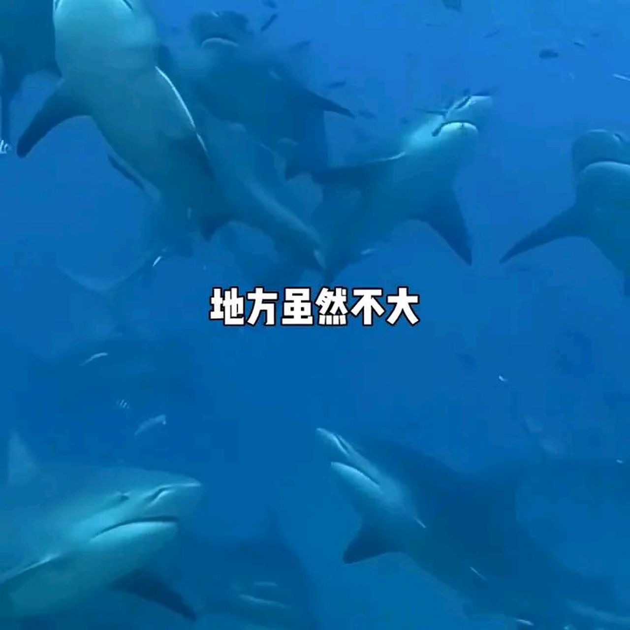 此外,斐济也是全球幸福指数排名第一的国家,并对中国公民免签.