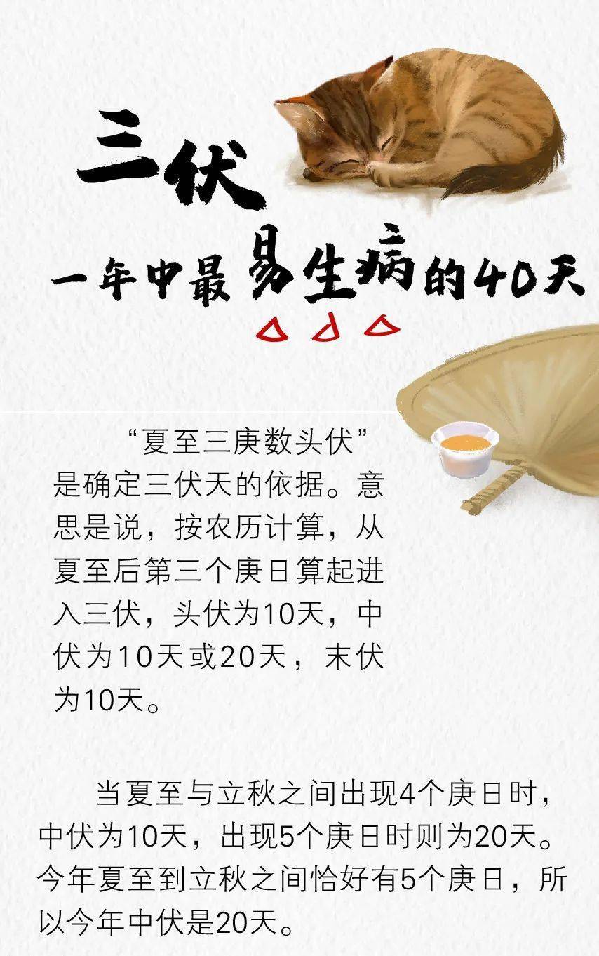 今年的三伏啊很特殊,一到3伏天,大家想到的一定是一个字就是热,那么