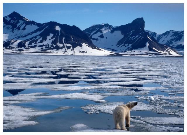 北极750座冰山在融化消失,海平面或上升五米,会造成什么影响?