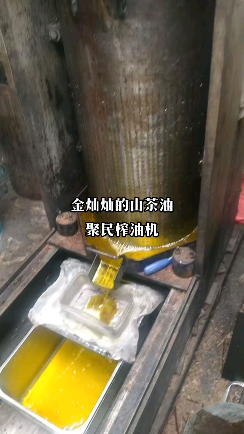 聚民牌山茶油榨油机,传统山茶籽榨油机,油茶冷榨榨油机全套设备