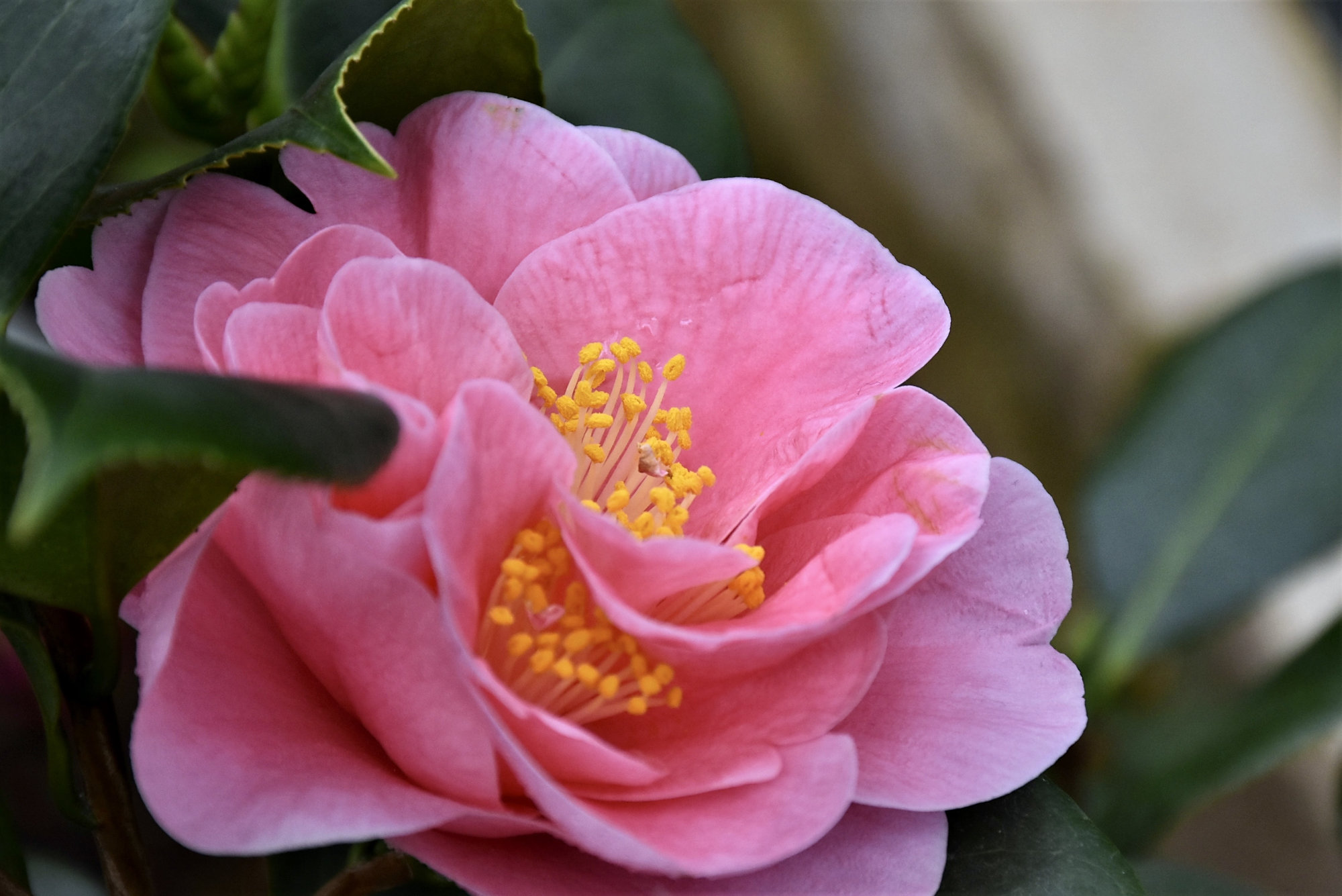 夫妻之间,怎么花钱,就有怎样的婚姻!(很准)