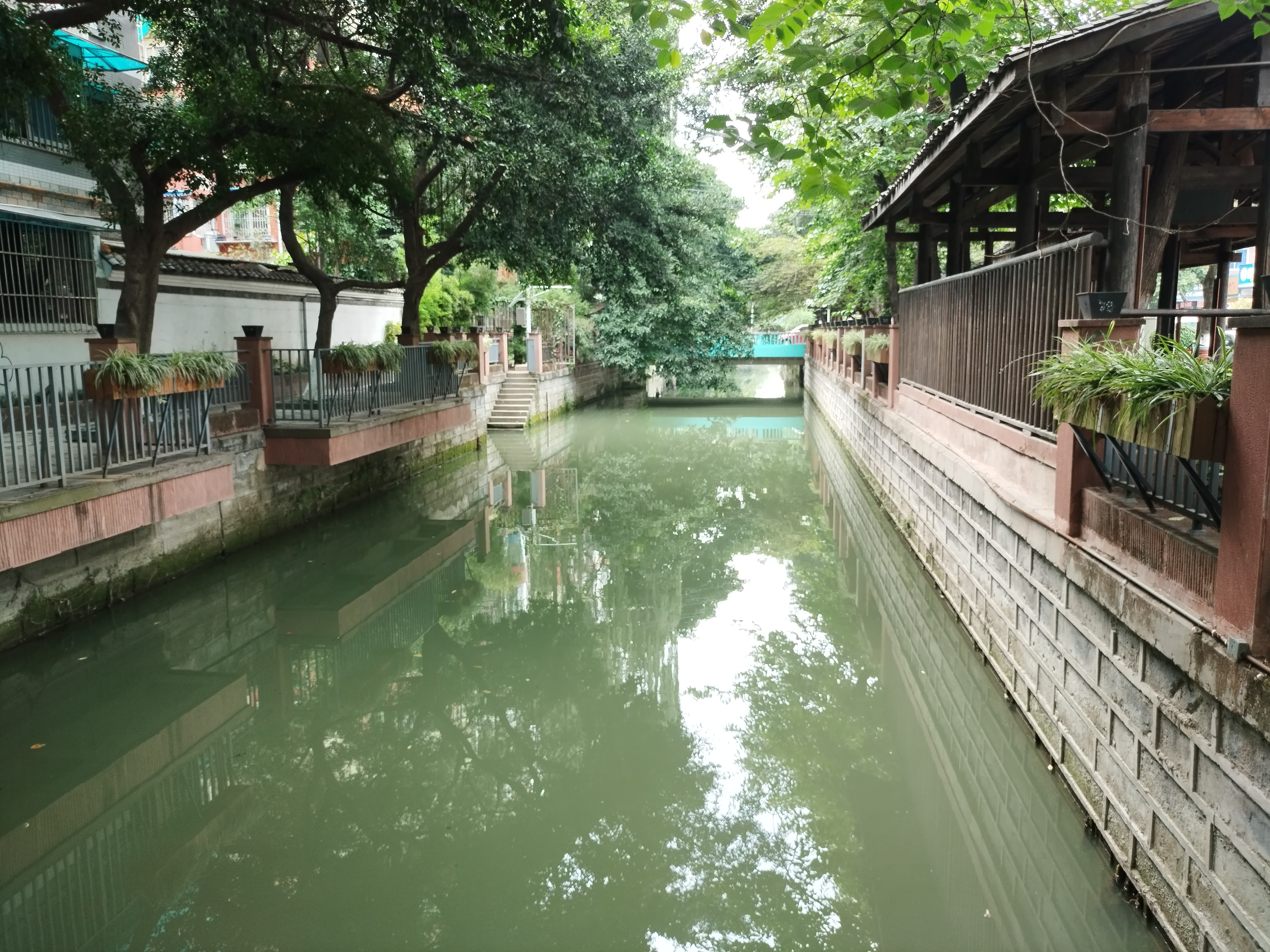 性情如茶,老成都肖家河