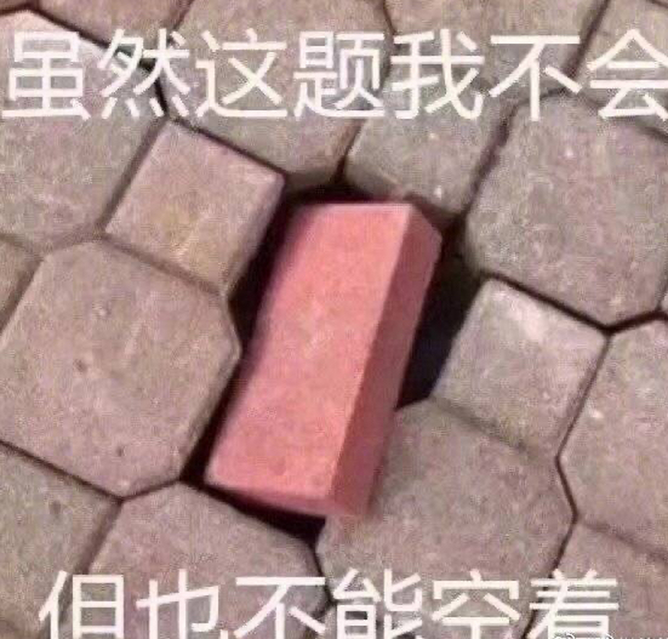 虽然这题我不会,但是不能空着!