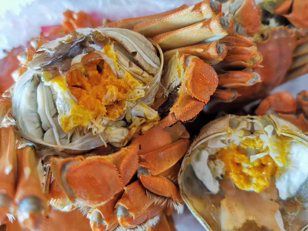 盘锦河蟹,就是黄多,特别多!