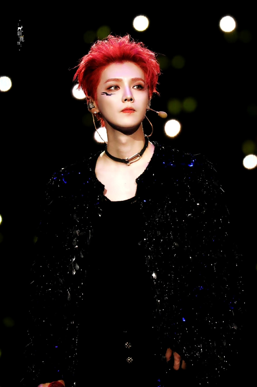 鹿晗演唱会红发00唉[大笑][大笑]