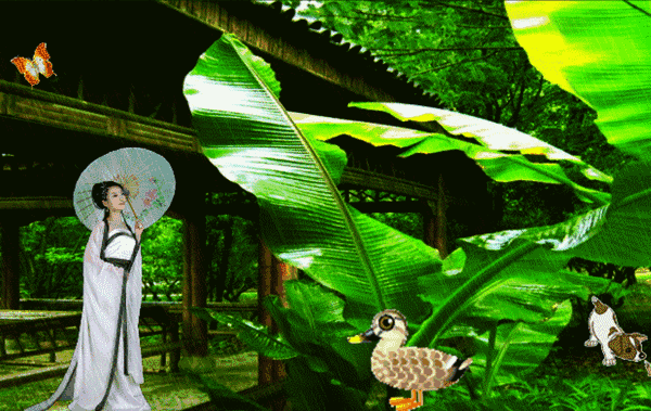 雨打芭蕉落闲庭