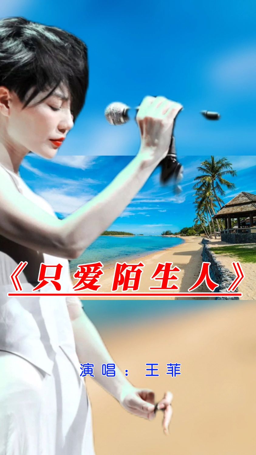 王菲演唱经典歌曲只爱陌生人